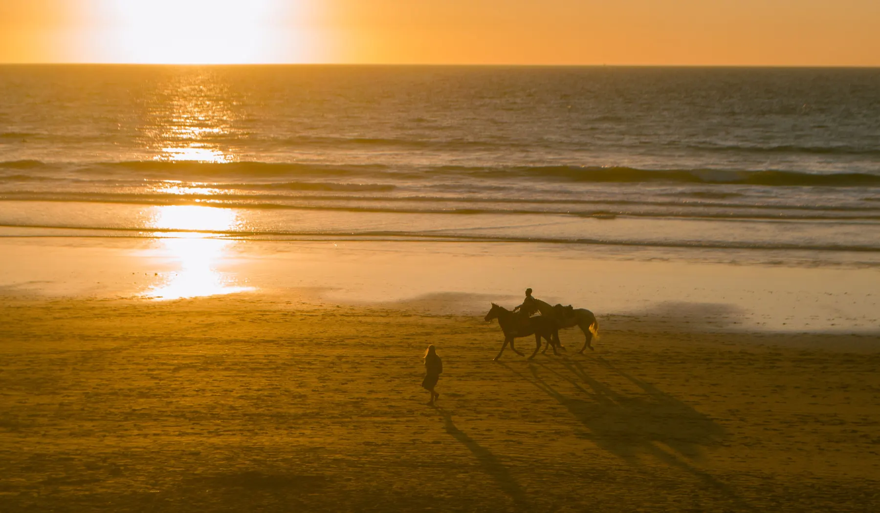 Horse riding along the Atlantic coast